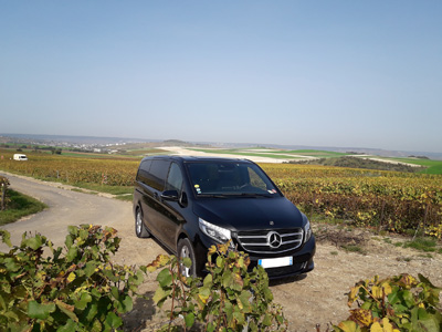 Champagne Tour - Dans les vignes